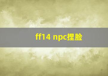 ff14 npc捏脸